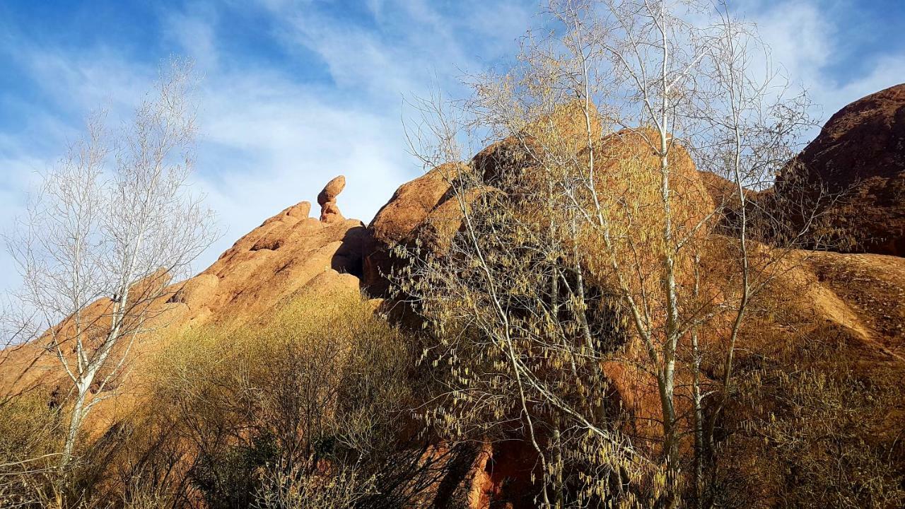 Auberge Kasbah Ait Marghad Tamellalt  Екстериор снимка