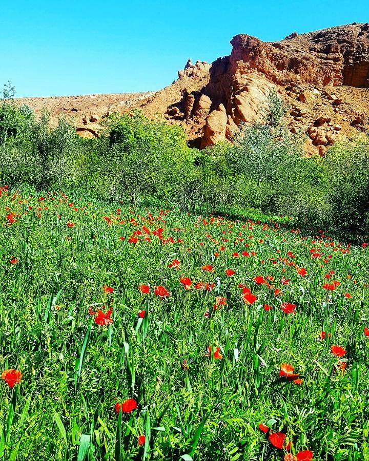 Auberge Kasbah Ait Marghad Tamellalt  Екстериор снимка